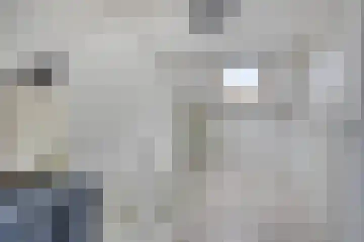 Dickerijst 4 Renswoude thumbnail 27