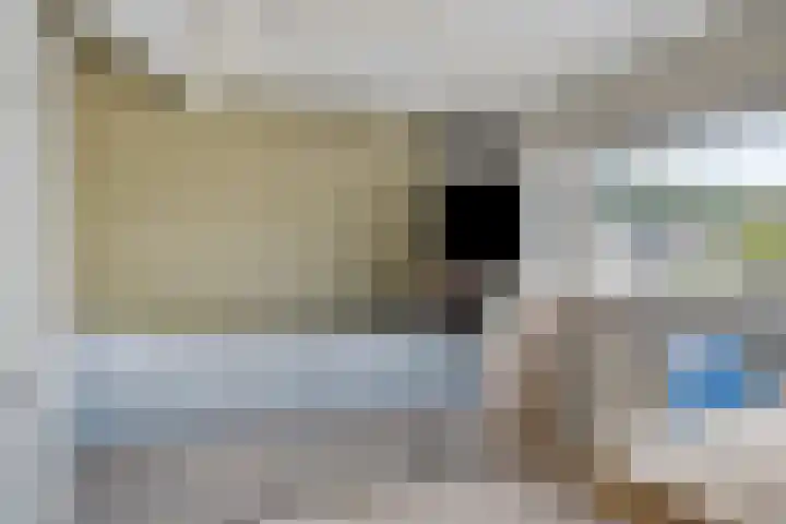Dickerijst 4 Renswoude thumbnail 29