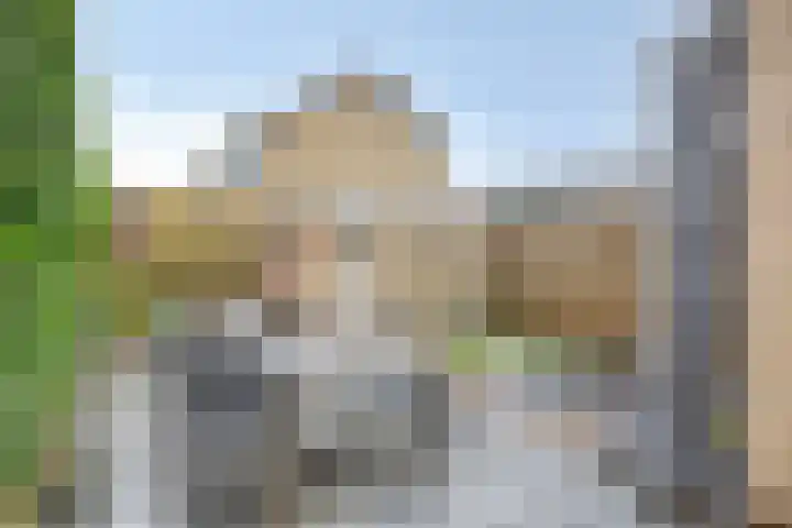 Dickerijst 4 Renswoude foto 3