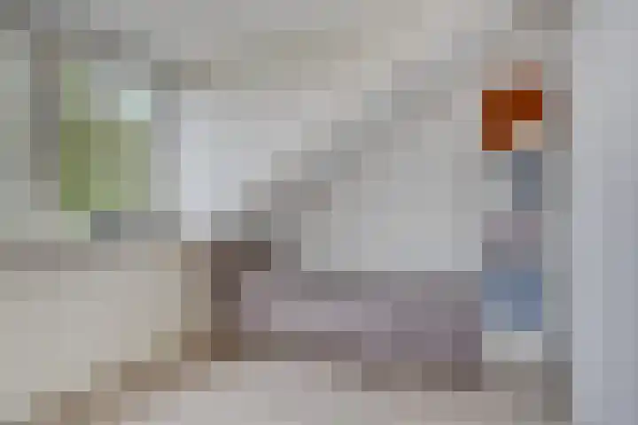 Dickerijst 4 Renswoude thumbnail 30