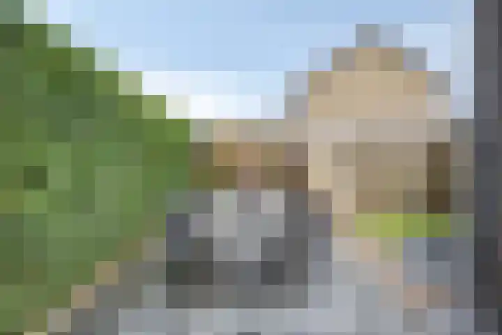Dickerijst 4 Renswoude thumbnail 31