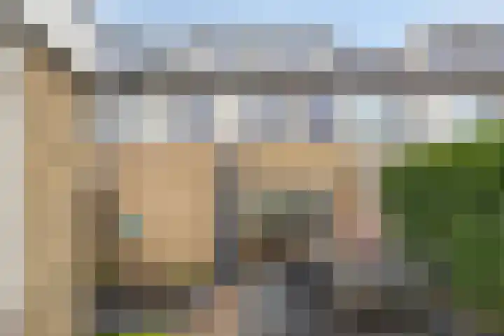 Dickerijst 4 Renswoude thumbnail 32