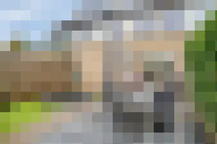 Dickerijst 4 Renswoude thumbnail 33