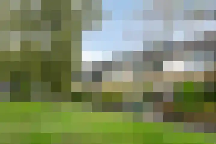 Dickerijst 4 Renswoude thumbnail 34