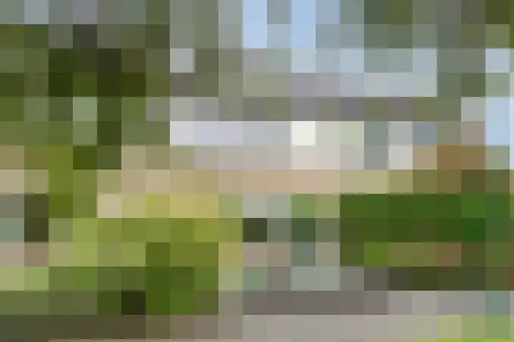 Dickerijst 4 Renswoude thumbnail 35