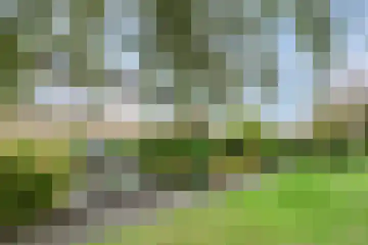 Dickerijst 4 Renswoude thumbnail 36