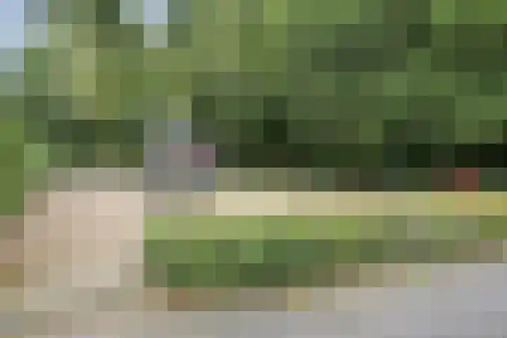 Dickerijst 4 Renswoude thumbnail 37