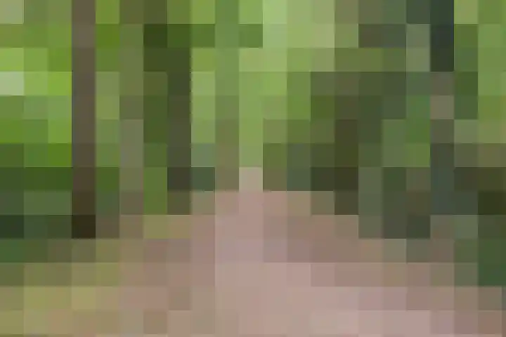 Dickerijst 4 Renswoude thumbnail 38