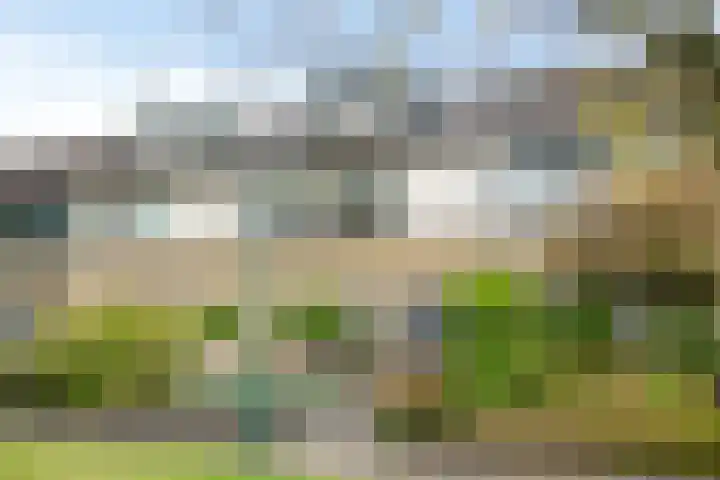 Dickerijst 4 Renswoude thumbnail 4