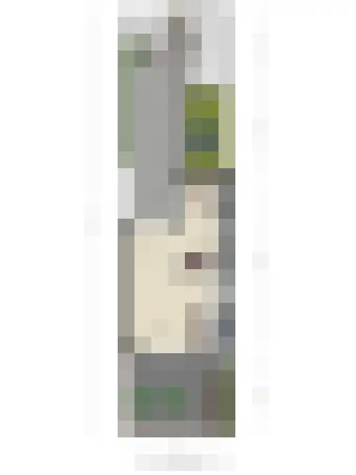 Dickerijst 4 Renswoude thumbnail 40