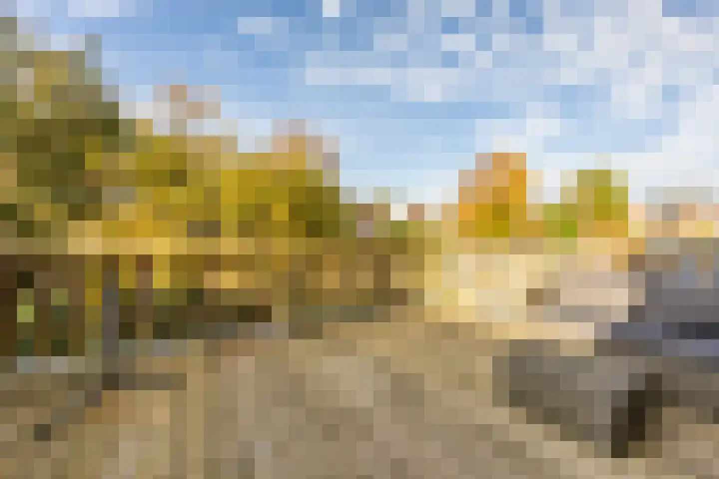 Dickmansstraat 24 Haarlem thumbnail 19