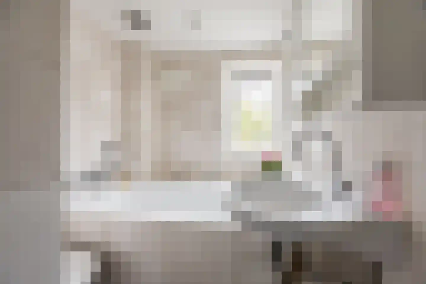 Dickmansstraat 24 Haarlem thumbnail 20