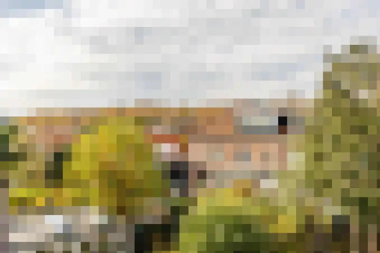 Dickmansstraat 24 Haarlem thumbnail 23