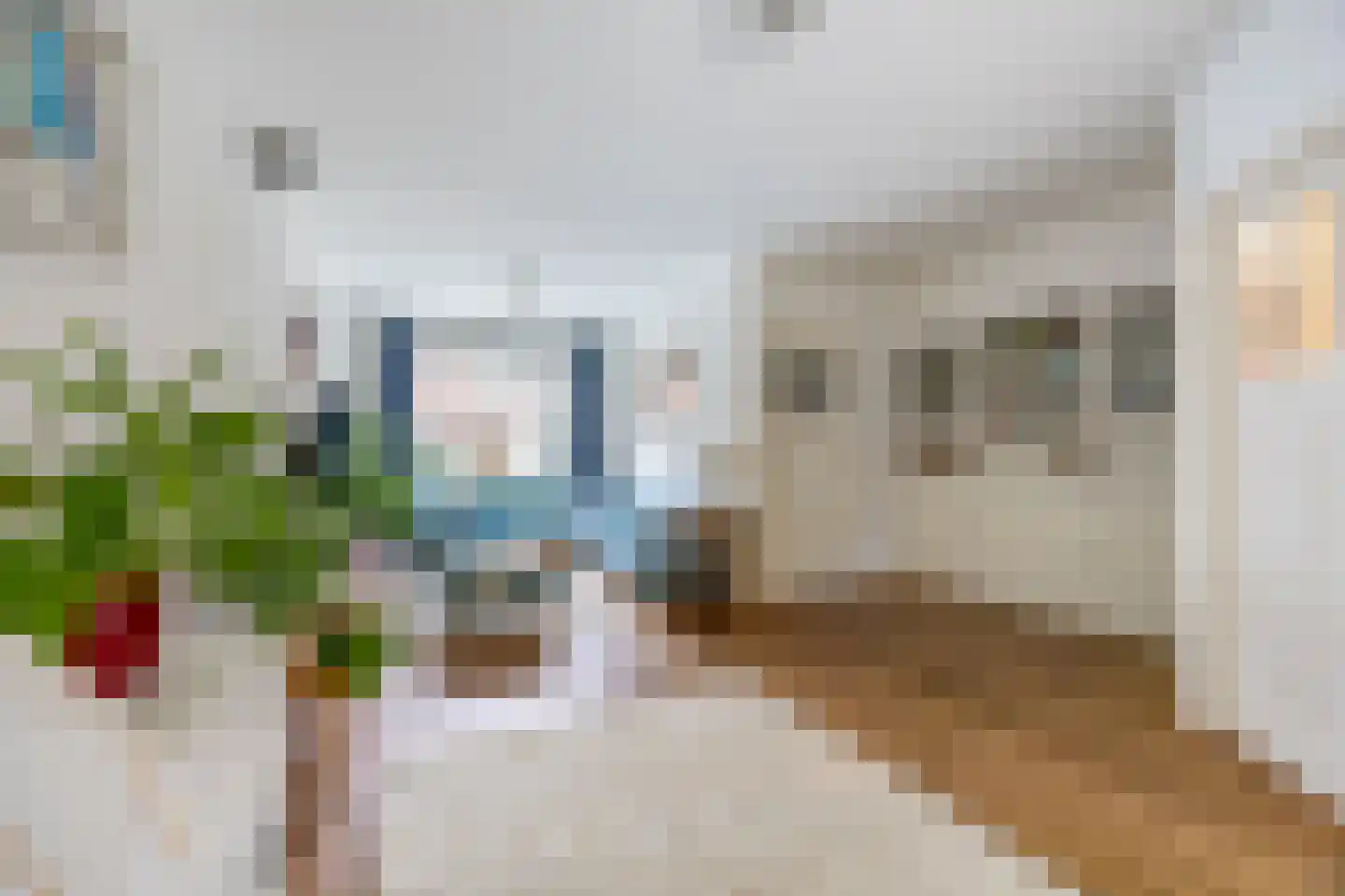 Dickmansstraat 24 Haarlem thumbnail 4