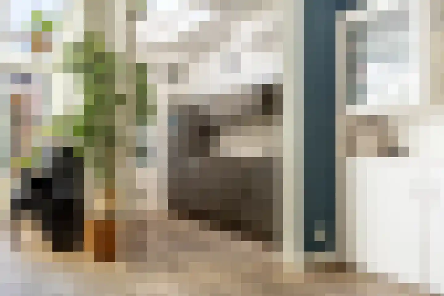 Dickmansstraat 35 Haarlem thumbnail 11
