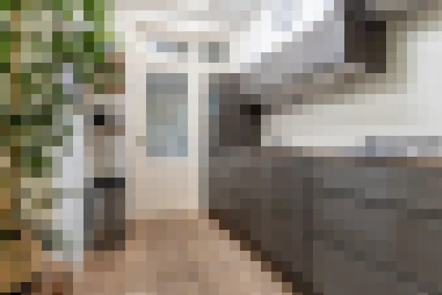 Dickmansstraat 35 Haarlem thumbnail 12