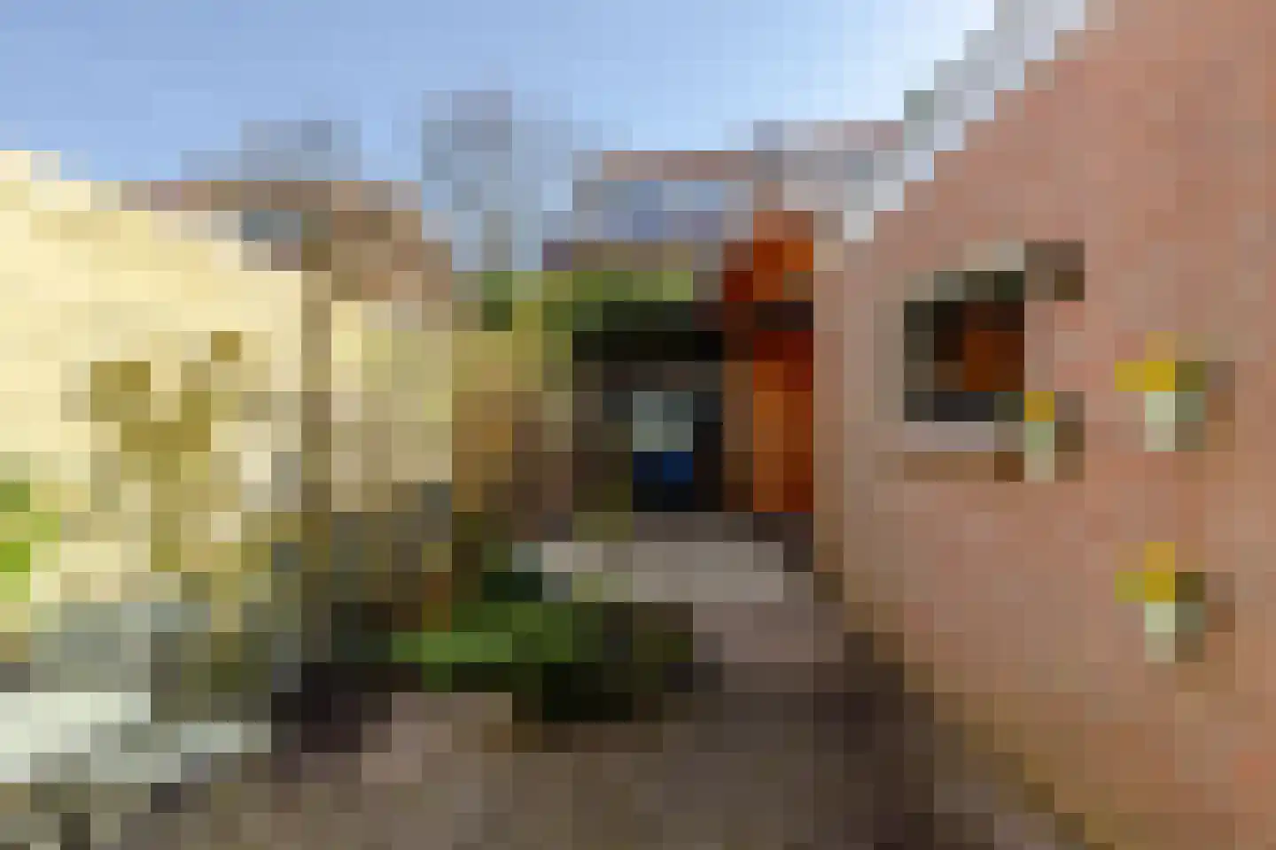 Dickmansstraat 35 Haarlem thumbnail 18