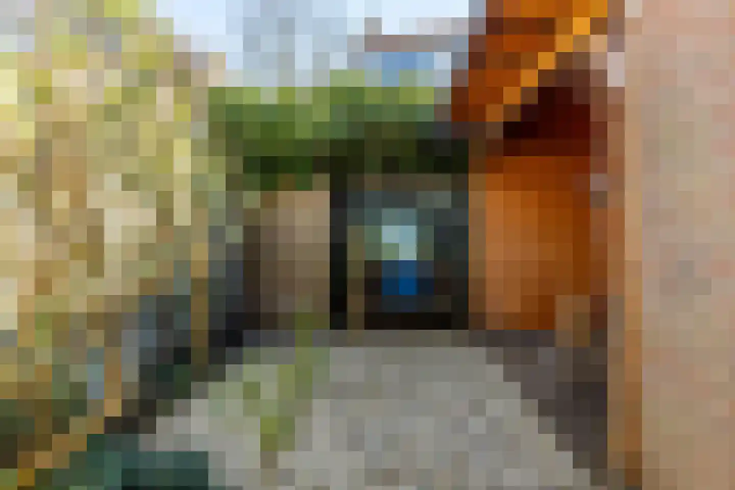 Dickmansstraat 35 Haarlem thumbnail 19