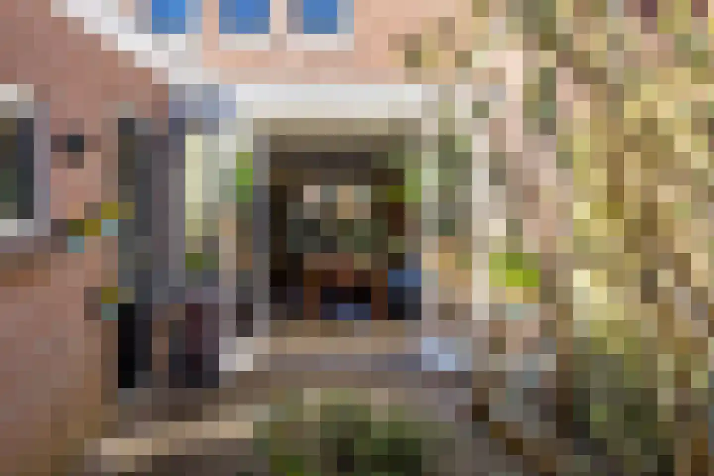 Dickmansstraat 35 Haarlem thumbnail 25