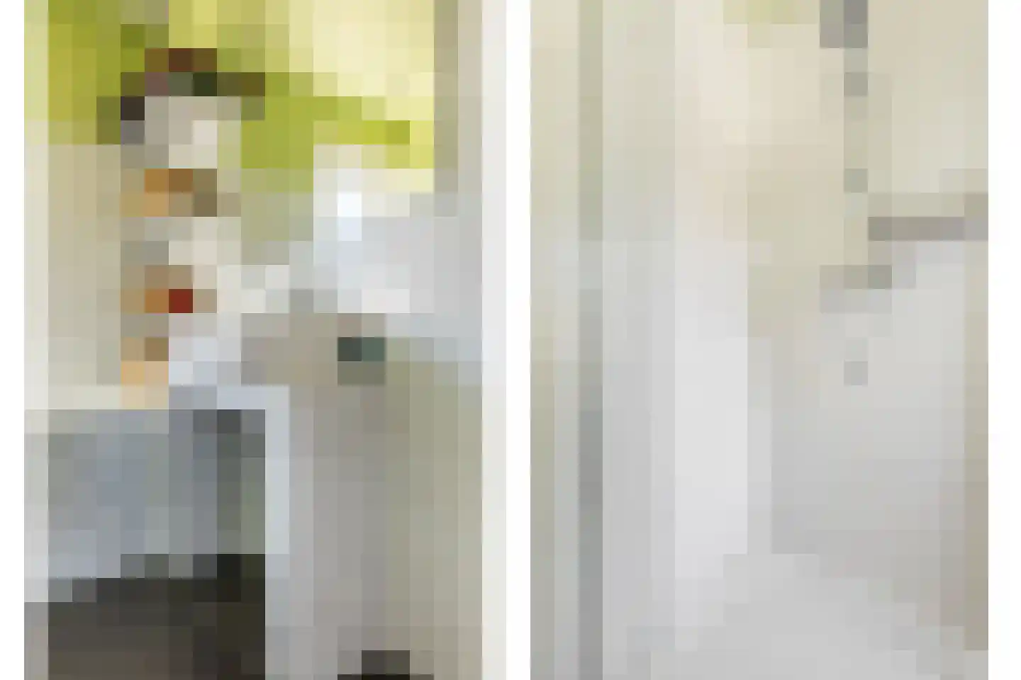 Dickmansstraat 35 Haarlem thumbnail 31