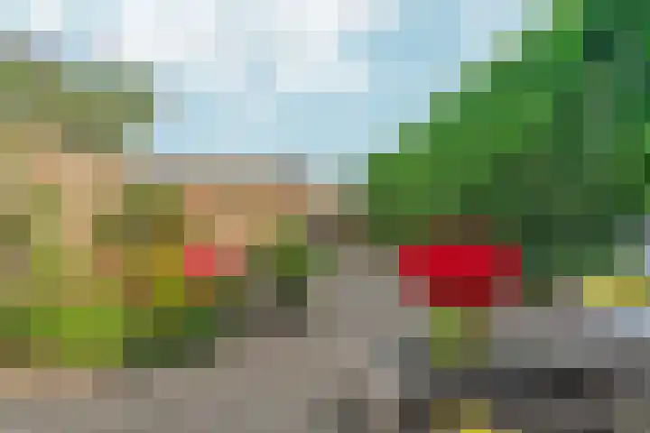 Didamseweg 118 Zevenaar thumbnail 41
