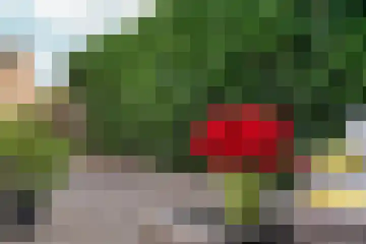 Didamseweg 118 Zevenaar thumbnail 42