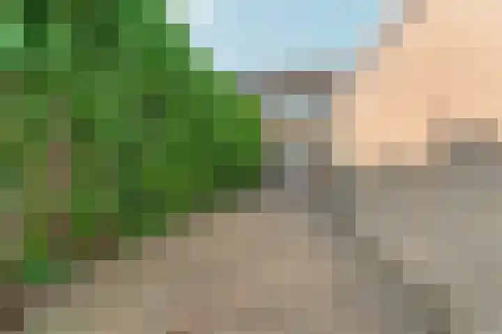 Didamseweg 118 Zevenaar thumbnail 46