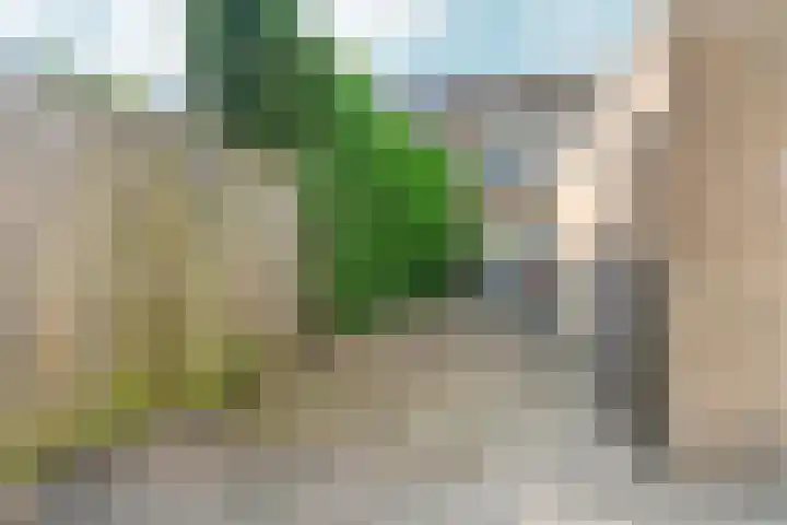 Didamseweg 118 Zevenaar thumbnail 48