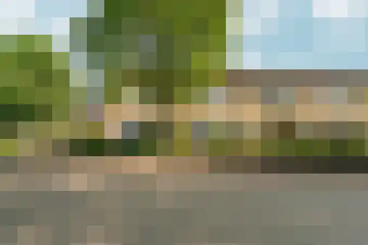 Didamseweg 118 Zevenaar thumbnail 51