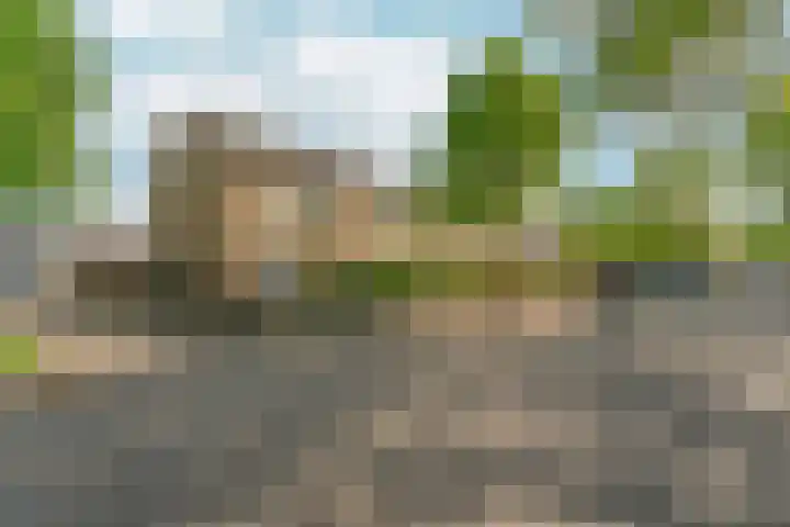 Didamseweg 118 Zevenaar thumbnail 52