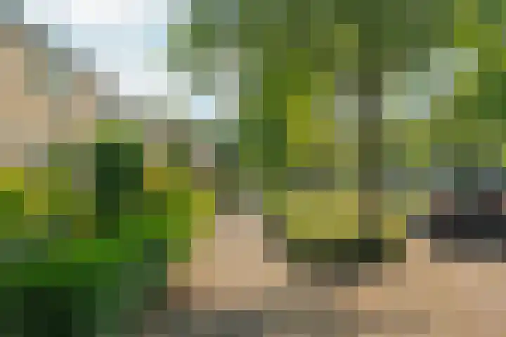 Didamseweg 118 Zevenaar thumbnail 54