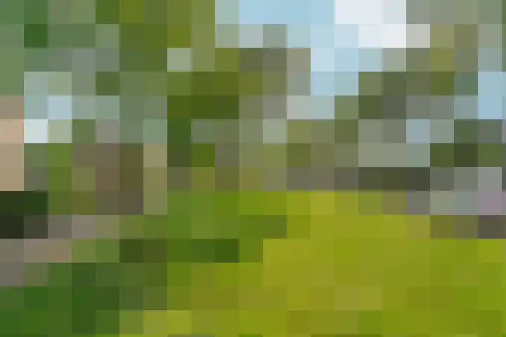 Didamseweg 118 Zevenaar thumbnail 55