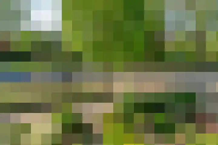 Didamseweg 118 Zevenaar thumbnail 57