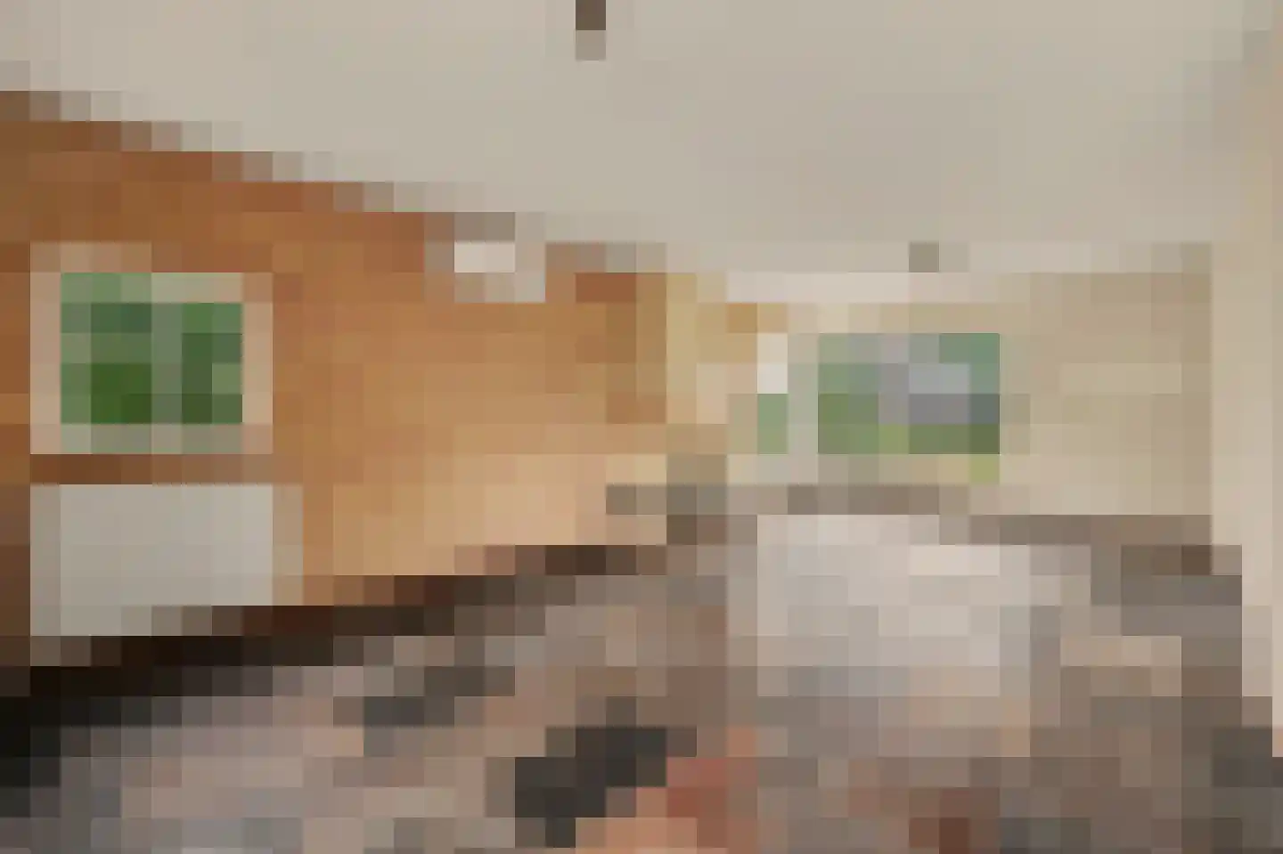 Didamseweg 13 d Beek thumbnail 11