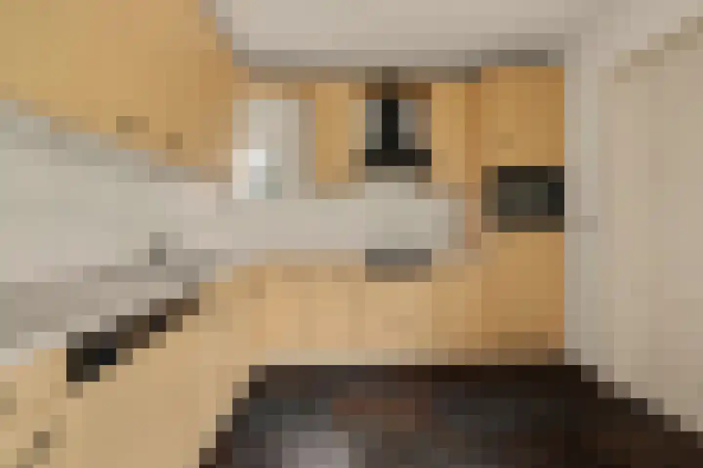 Didamseweg 13 d Beek thumbnail 14