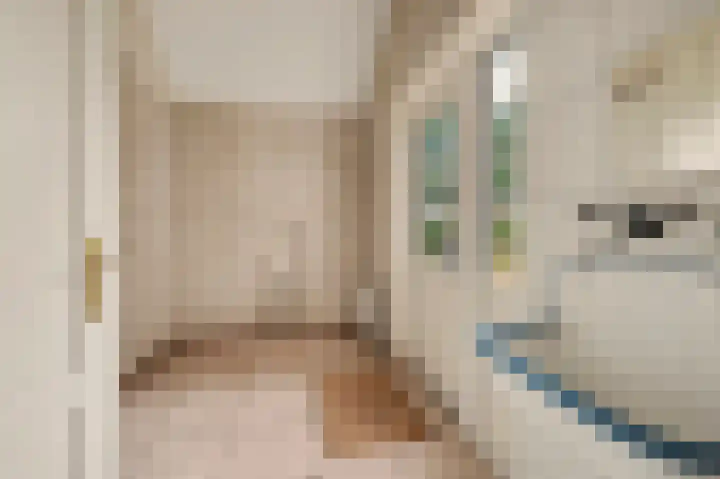 Didamseweg 13 d Beek thumbnail 16
