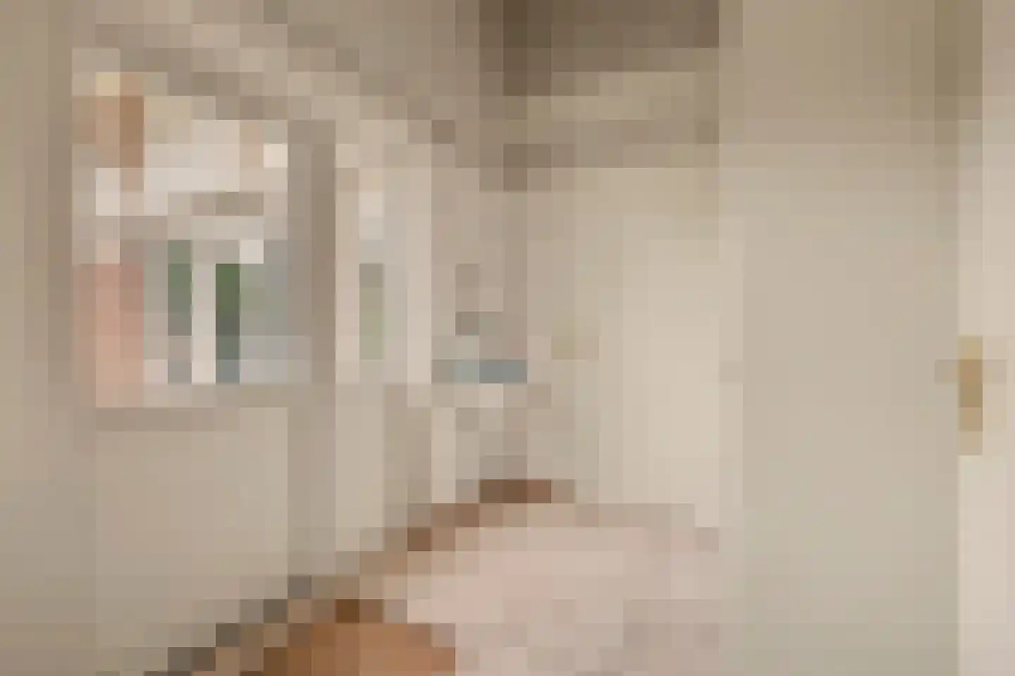 Didamseweg 13 d Beek thumbnail 17