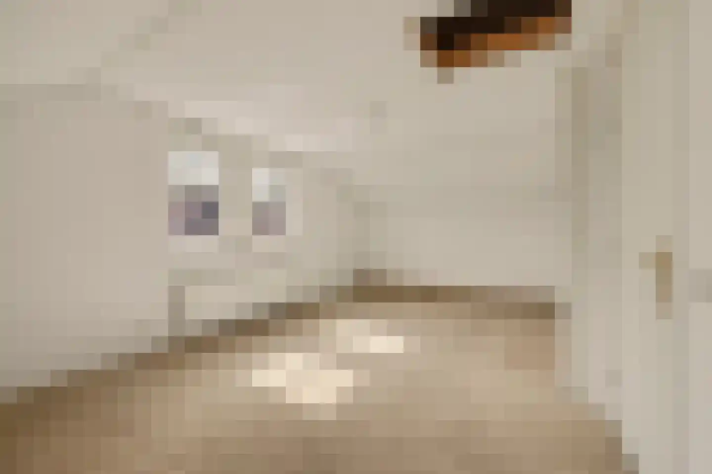 Didamseweg 13 d Beek thumbnail 27