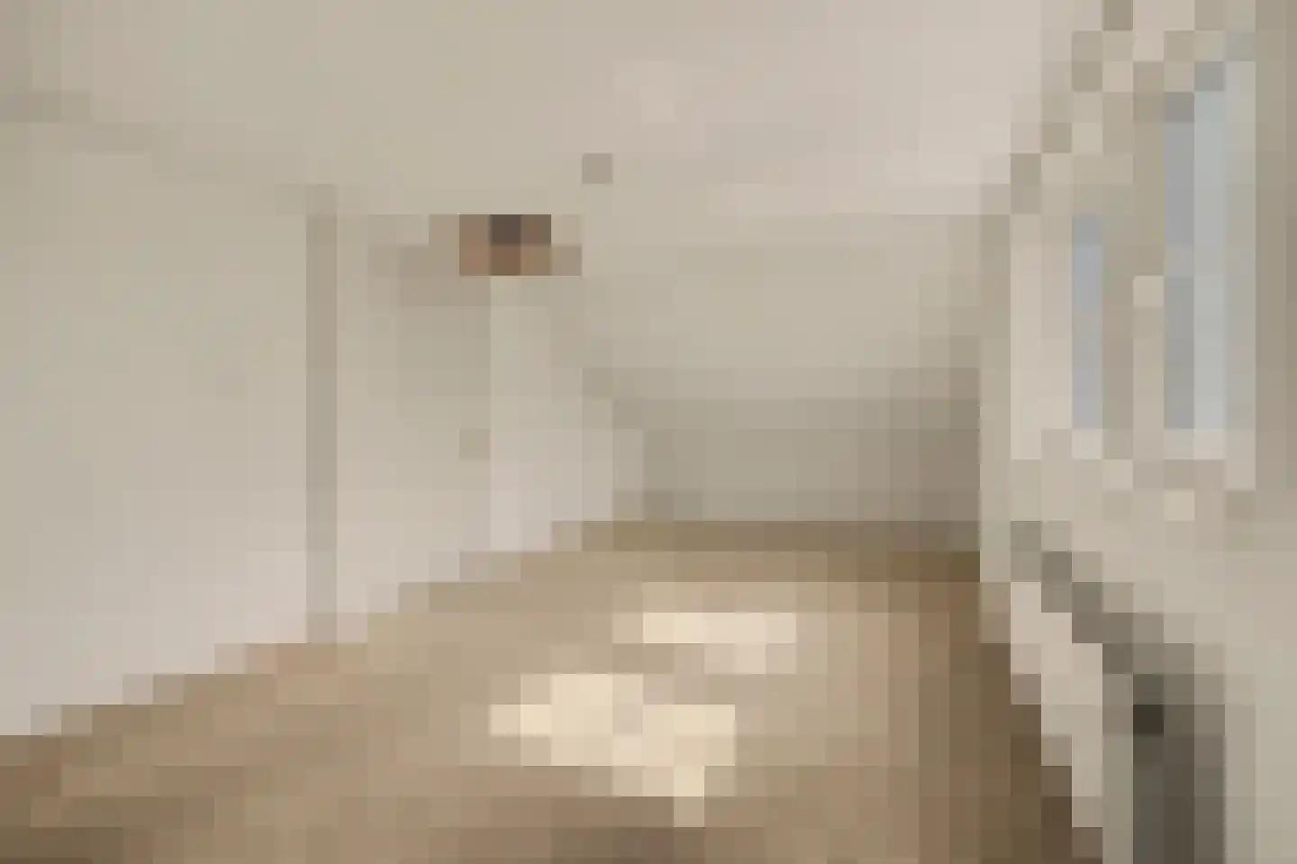 Didamseweg 13 d Beek thumbnail 29