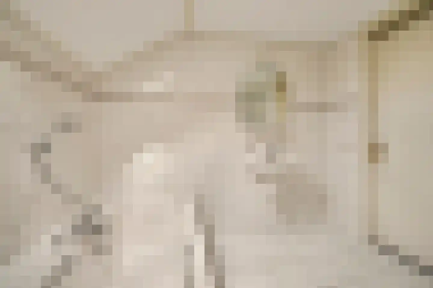 Didamseweg 13 d Beek thumbnail 30