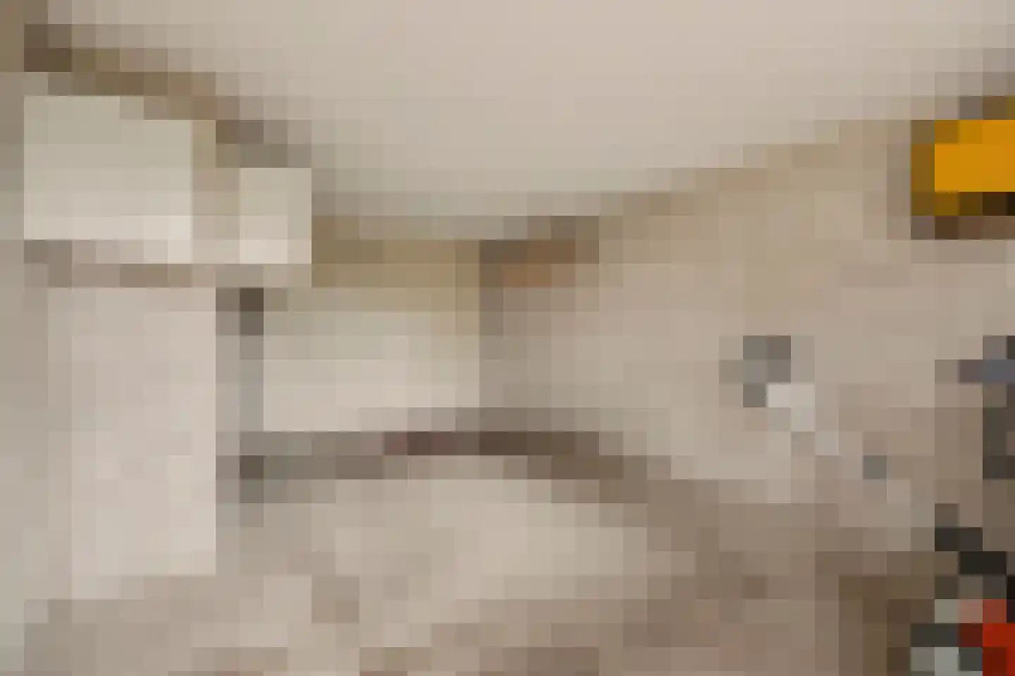 Didamseweg 13 d Beek thumbnail 33