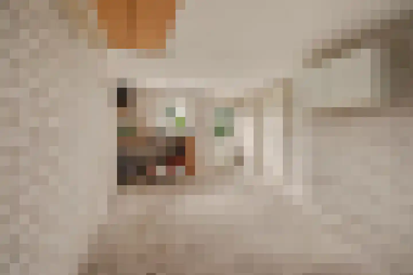 Didamseweg 13 d Beek thumbnail 34