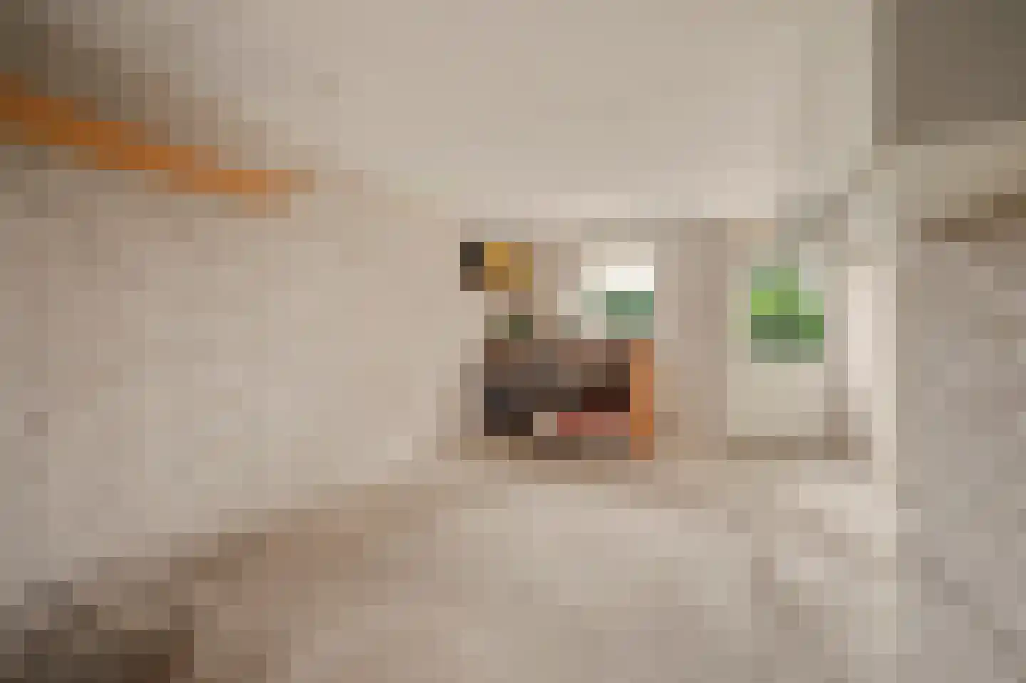 Didamseweg 13 d Beek thumbnail 35