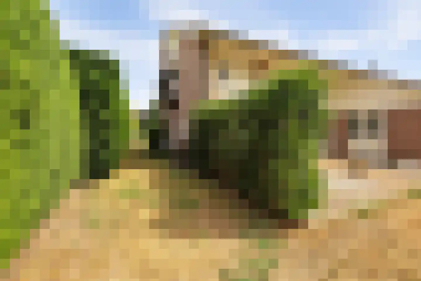 Didamseweg 13 d Beek thumbnail 42