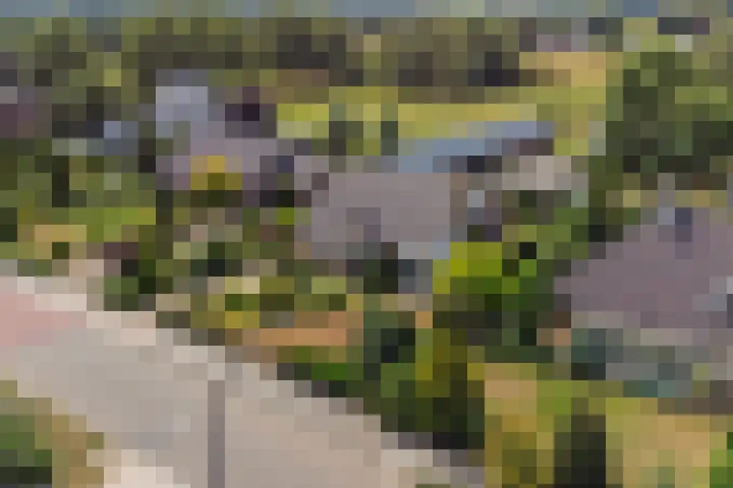 Didamseweg 13 d Beek thumbnail 49