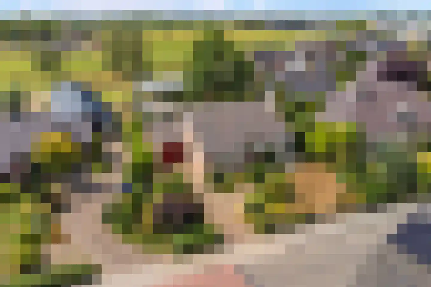 Didamseweg 13 d Beek thumbnail 50