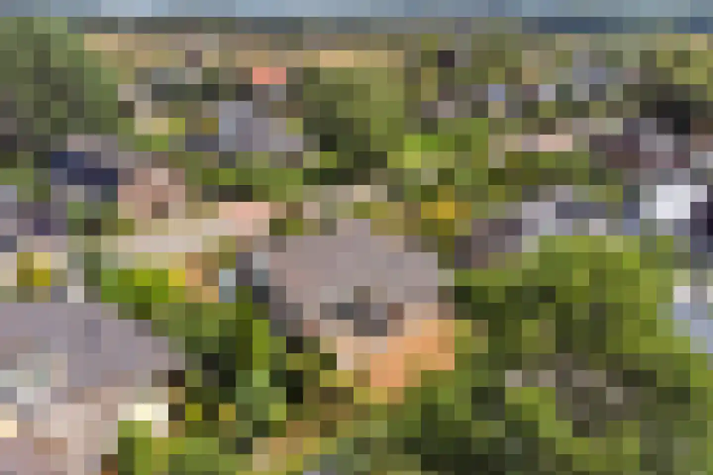 Didamseweg 13 d Beek thumbnail 52