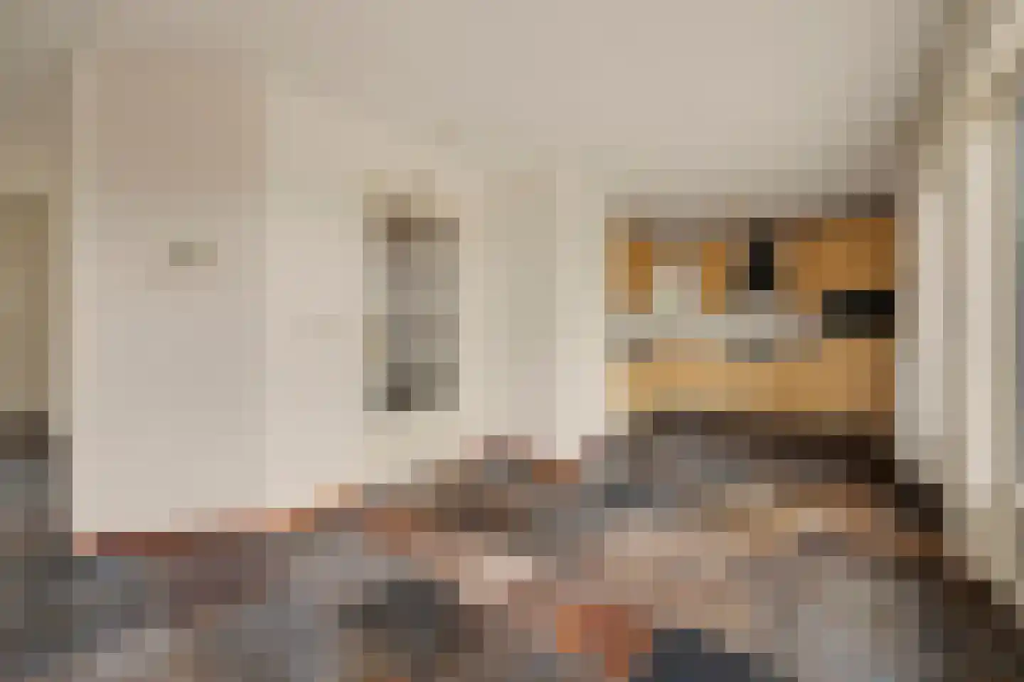 Didamseweg 13 d Beek thumbnail 9
