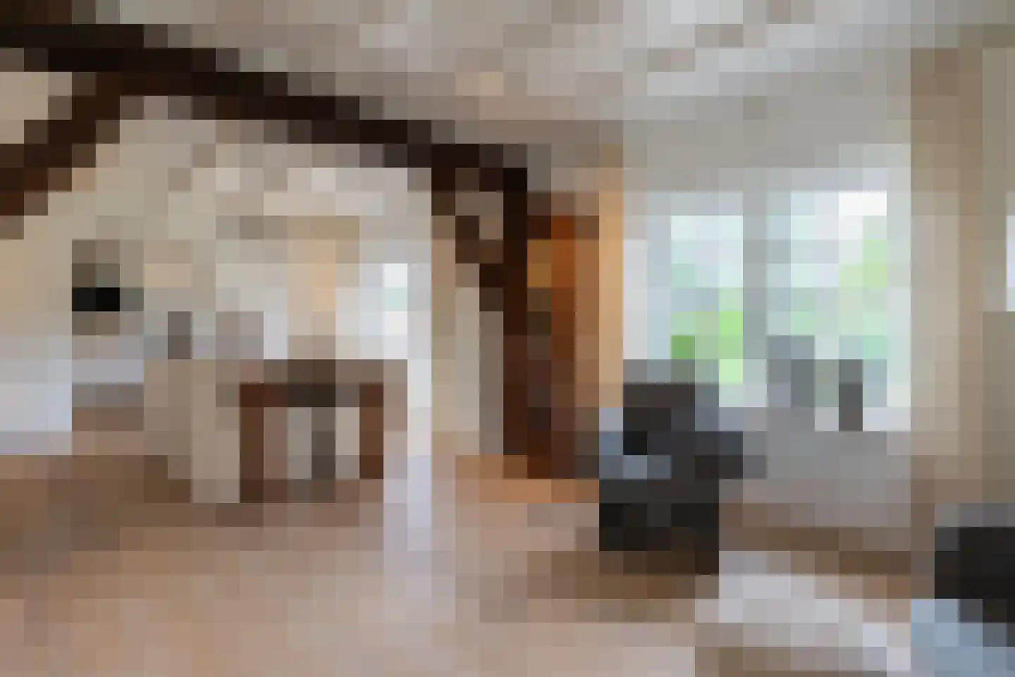 Didamseweg 2 Loerbeek thumbnail 13