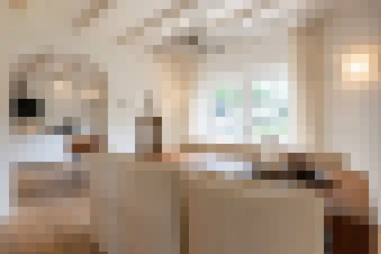 Didamseweg 2 Loerbeek thumbnail 18